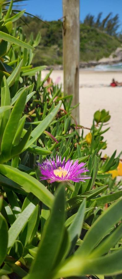 Pantai Pousadas - Jacuzzi Aquecida E 300 Metros Da Praia Da Ferrugem Garopaba Zewnętrze zdjęcie